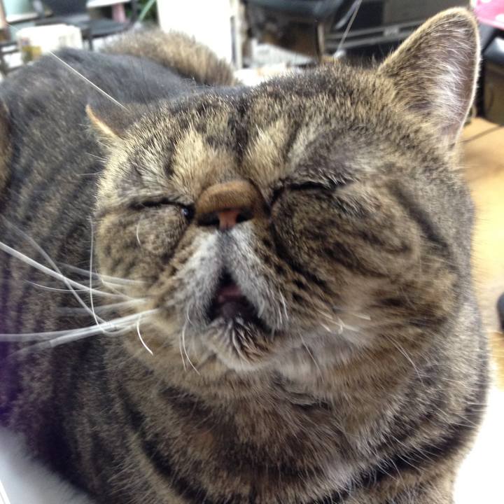 Eafeb920 cf94 4172 aae8 f4a853b26174