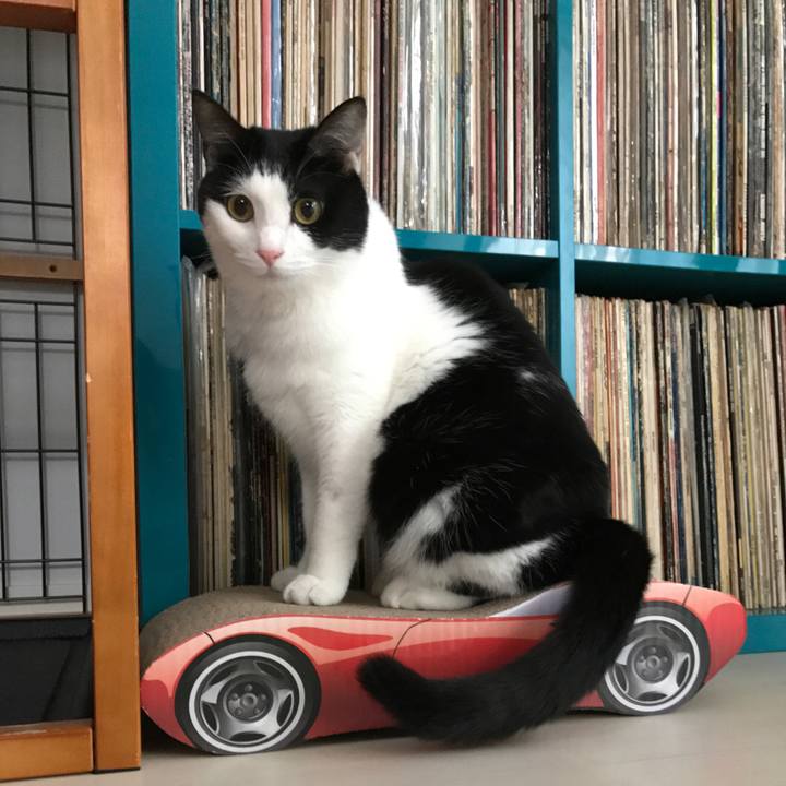 Eafeda83 1a45 45fb 84f5 a7e2f7494084