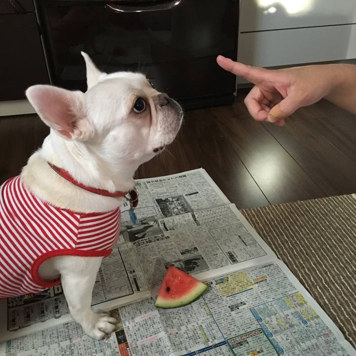 Eaff2b47 3c6e 4319 8566 0ed9a95f2022