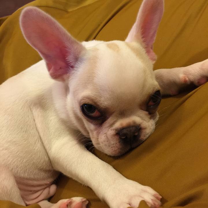 Eaffc58b 7109 45ad 9343 61def8c5b40e