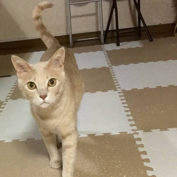 Eb00a77a 07f1 442a ba06 85b1b80ec15c