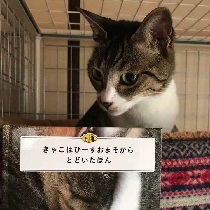 Eb00bc7a ced5 49b6 812f 4f42d88b01f8