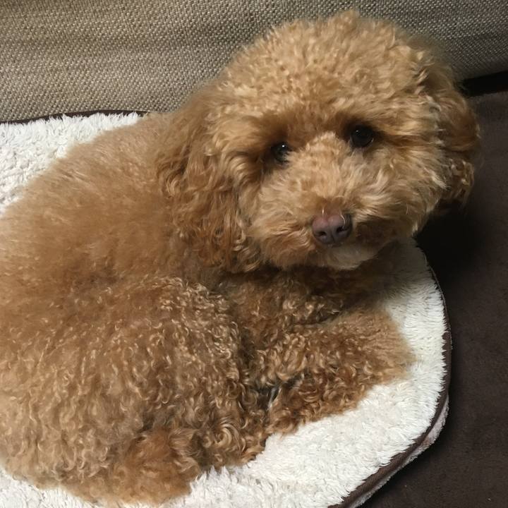 Eb00c94f 4a49 4d5a 941d eb0c1693408f