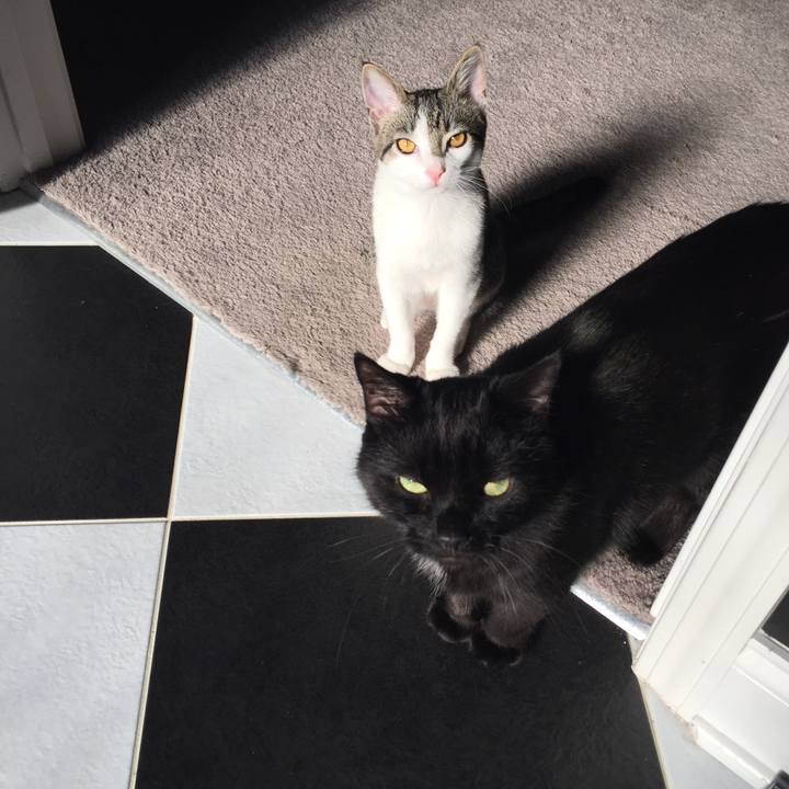 Eb015164 92f3 482d ae95 78347f0e2942