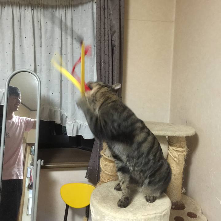 Eb019a0a e537 4f5a 85c3 572ecafd2fba