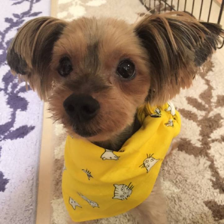 Eb01b4bf e1e9 4ee1 8d60 ccf682815737