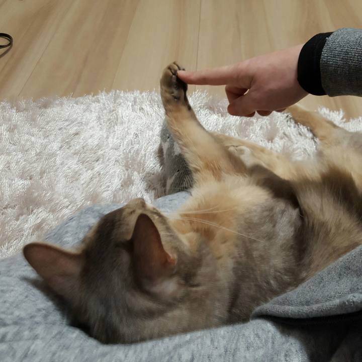 Eb025af0 5130 4d63 acab e65d6fce5227