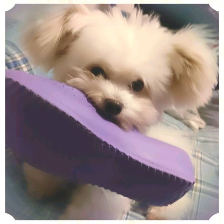 Eb0262ac e02a 4c29 9f54 e00ef495da9d