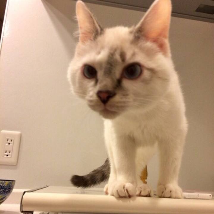 Eb030ec1 d5cf 49da 8756 c0321c84a325