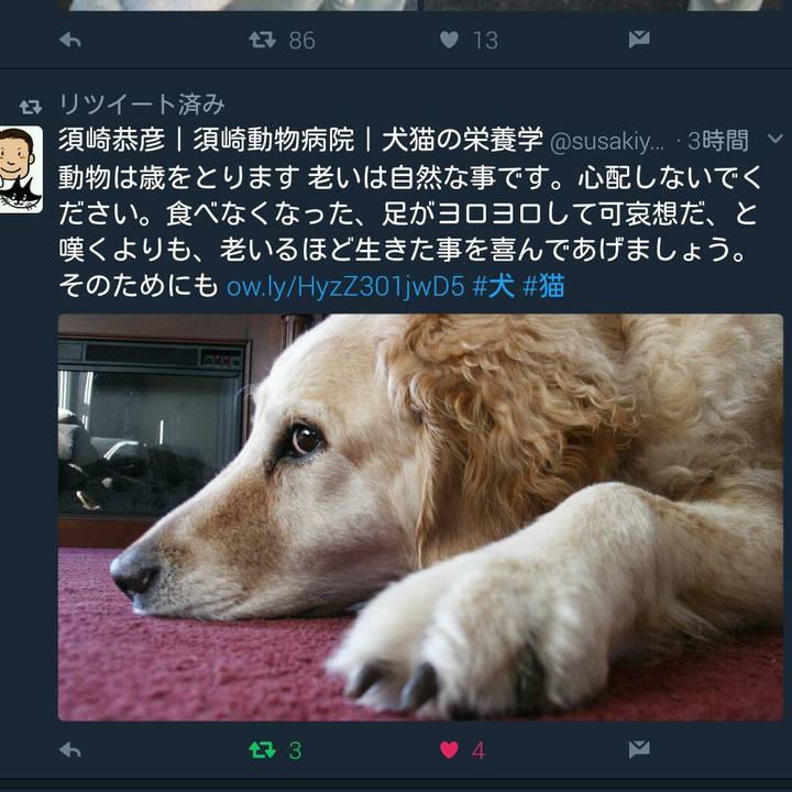 Eb031d3a b795 4485 af2a 339e60e07ed4