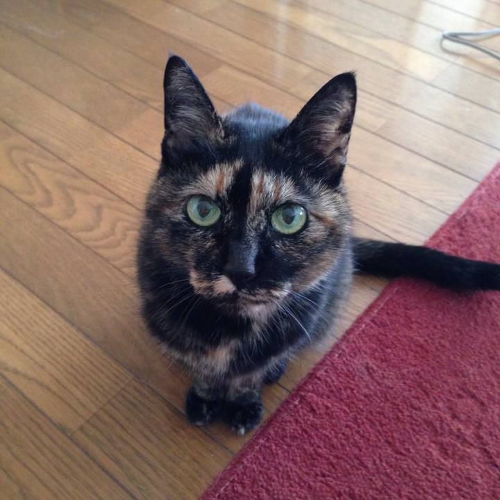 Eb03dc56 477f 4c8a 8eb5 11863b83d475