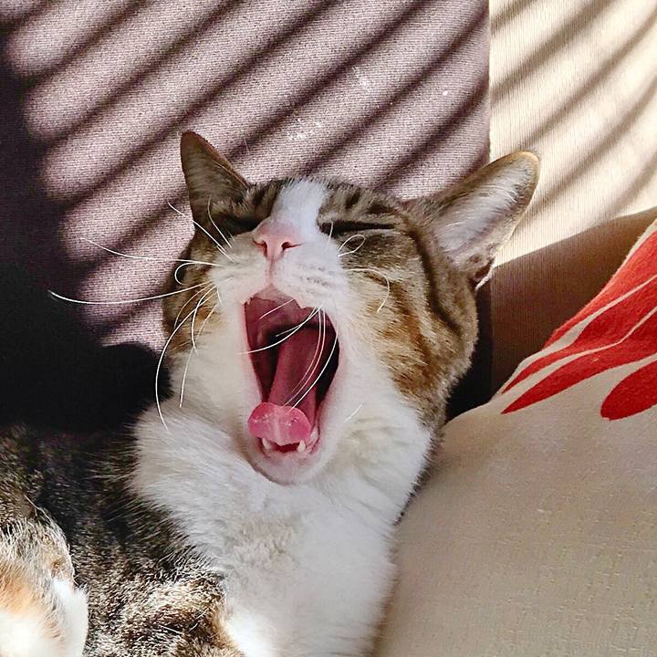 Eb04e875 959b 4abd 90ec 2ed1a2e28082