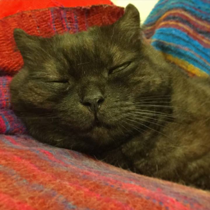 Eb053741 9c1a 4edc bde5 7aeb05d1def9