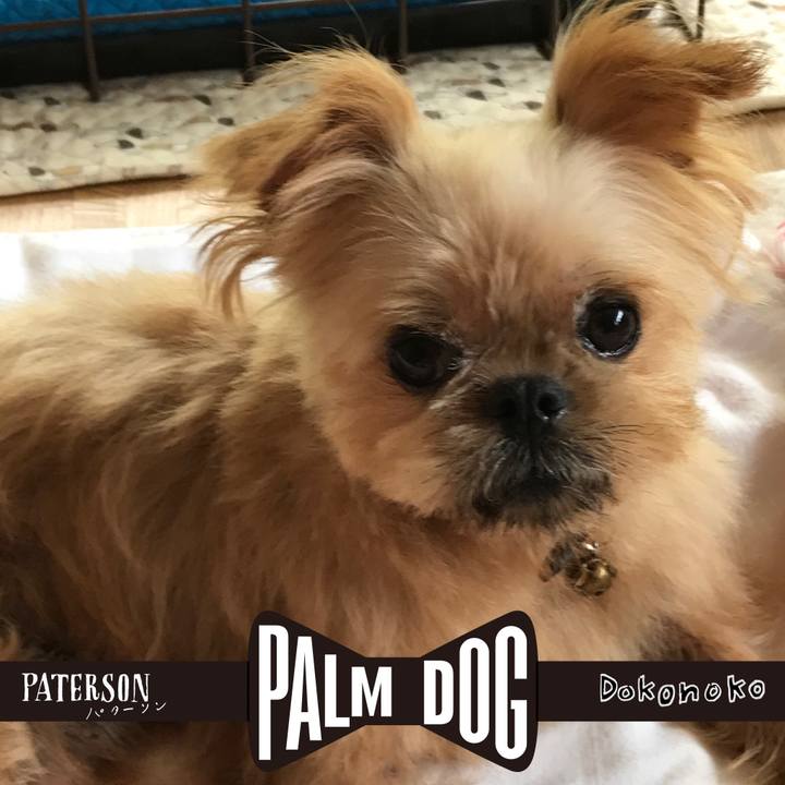 Eb055c08 b188 425b 8a4e b0ff0e706ed4