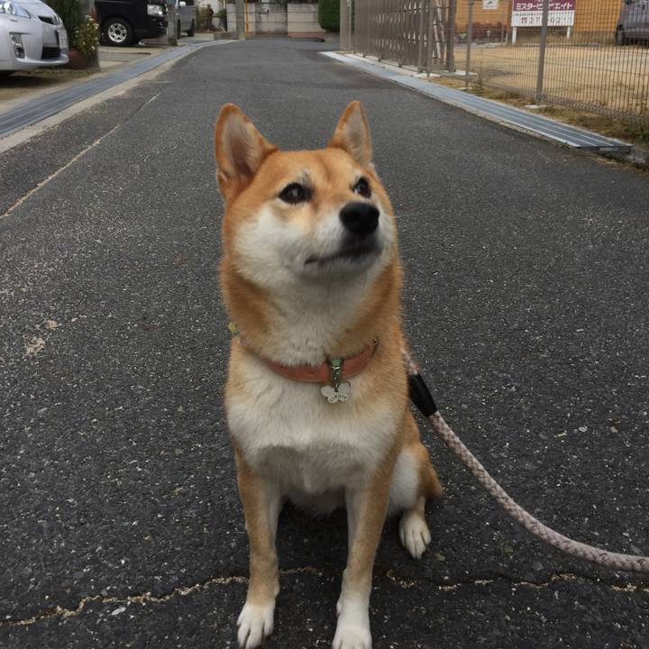 Eb05e986 3346 4169 8af4 168353698914