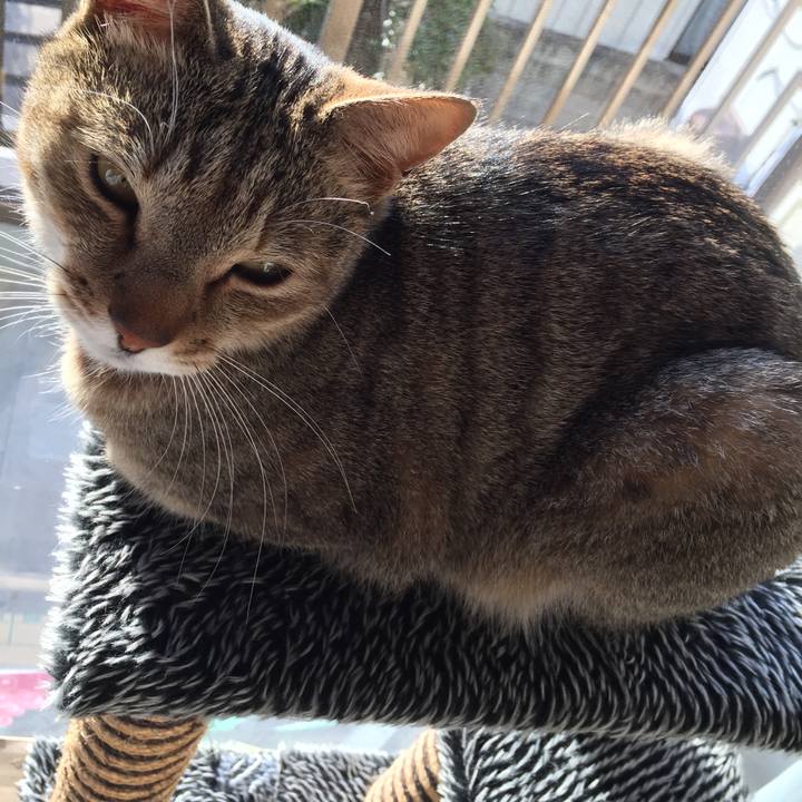 Eb062b7a e0bf 40c4 8b43 75a80377bae4