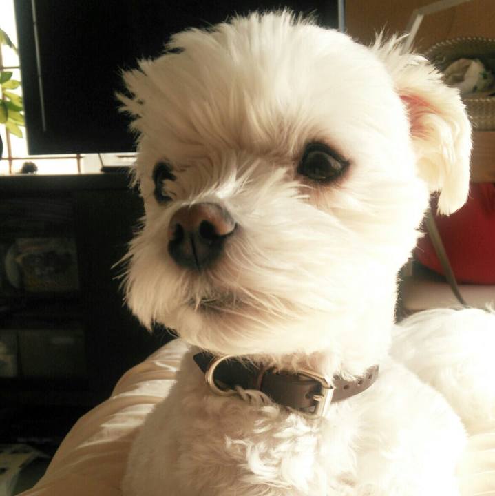 Eb068ca8 40c3 42b2 89f0 7397df98edcc