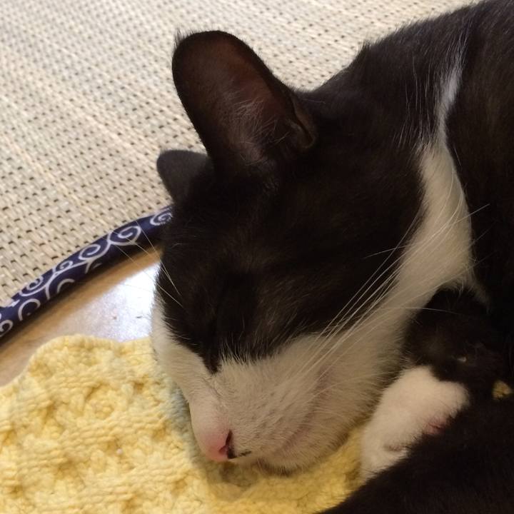 Eb06f92b 5a0b 4993 b25e 78d571ef1655