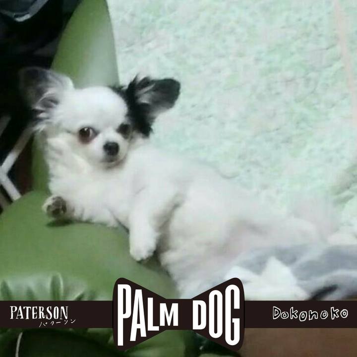 Eb071e5c f6ff 422d b3b4 c84e6ed37c6d