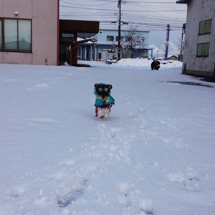 Eb080925 e189 45fb a4e7 baebce00a949