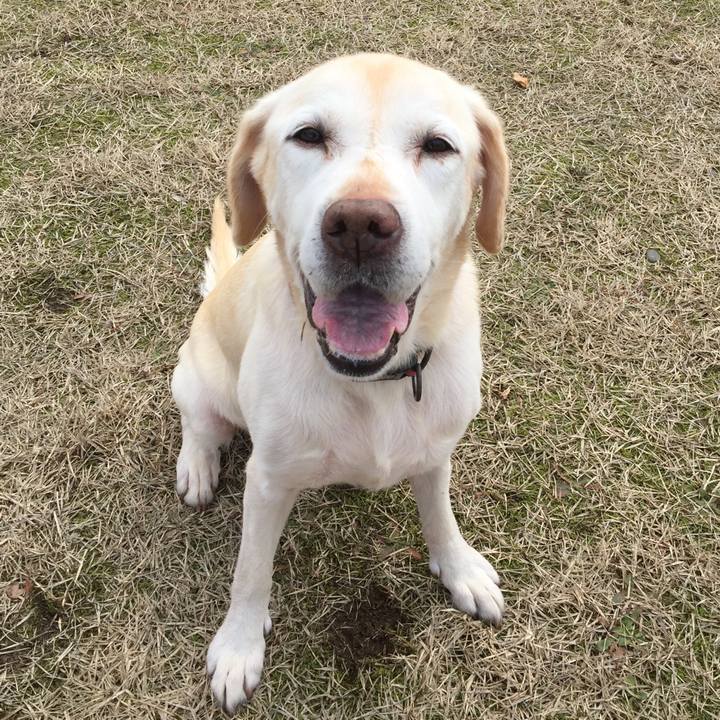 Eb09778b b9fb 4baf b472 d17d0756f46b