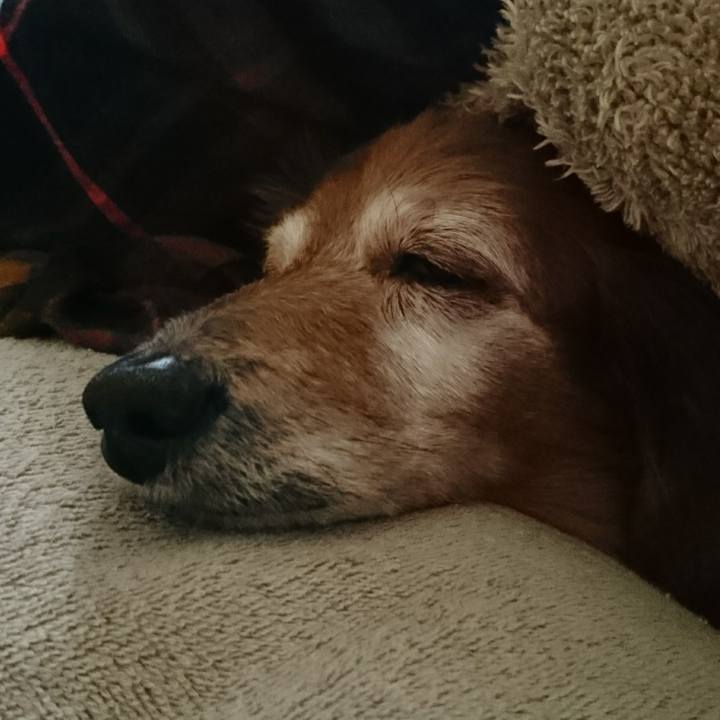 Eb0a6929 7b4a 4b81 9fbd 2fcdc3762fb7