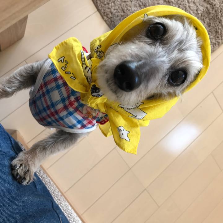 Eb0aa60b f0f6 4919 bda7 f3cc37a0fcdf