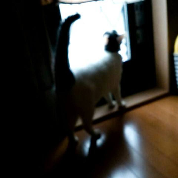 Eb0abde8 6102 4546 8484 d0935120a17b