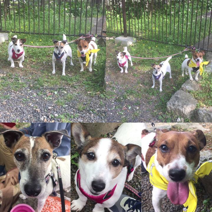 Eb0ad3b8 ec86 493d a62f 06935e7cc590