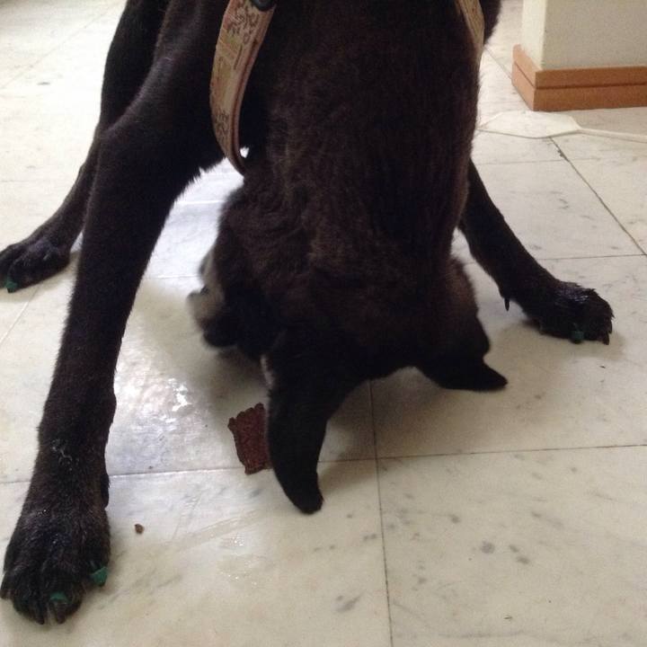 Eb0b950f 5aa3 43e4 80d6 377f29555069