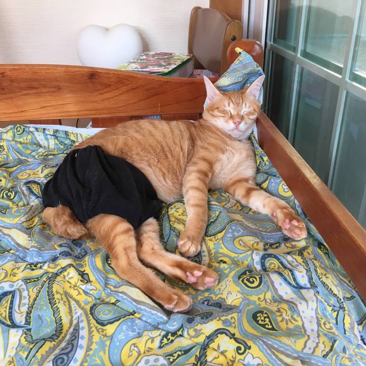 Eb0c0795 020a 426c 81a9 29cd9274e550