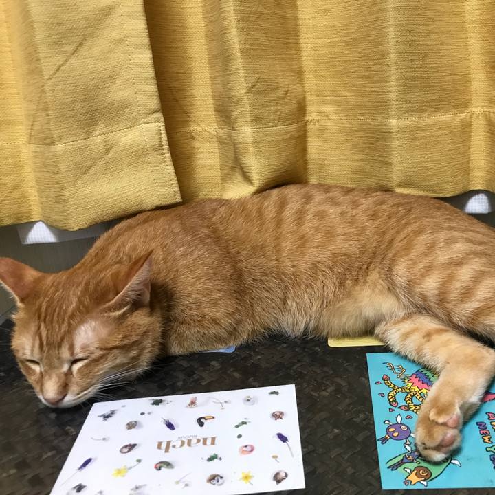 Eb0c8df1 a705 4eaf 9a94 a4a118179ea7