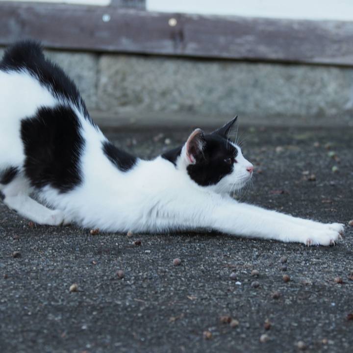 Eb0cad1d 9cb7 4a71 83ce 1fbbc55dd80b