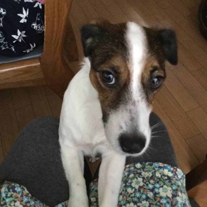 Eb0ce80c 5886 4f58 8f98 7f31e036af49