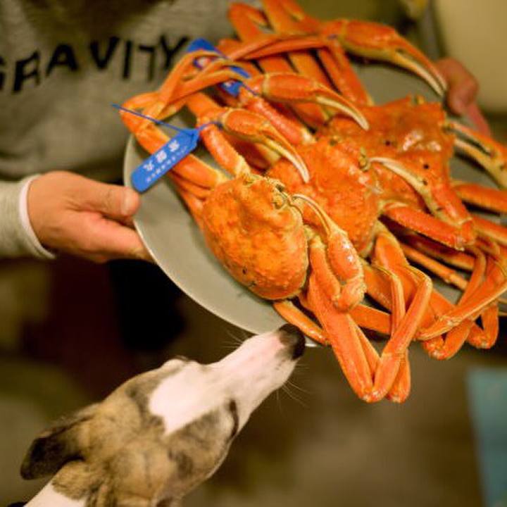 Eb0cf65e 03e0 47d3 a289 20d44606e2b1