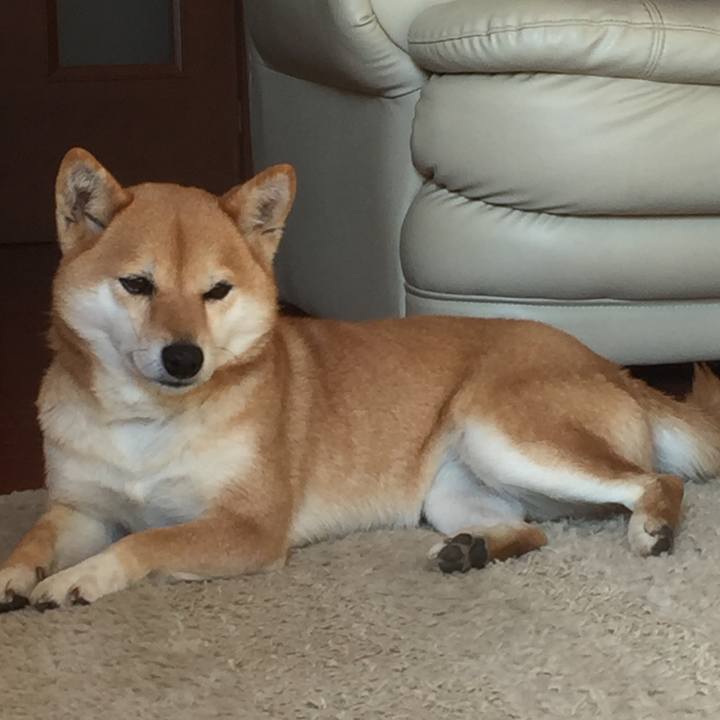 Eb0d965c dc1d 46a5 b7f6 4ef523d53a26