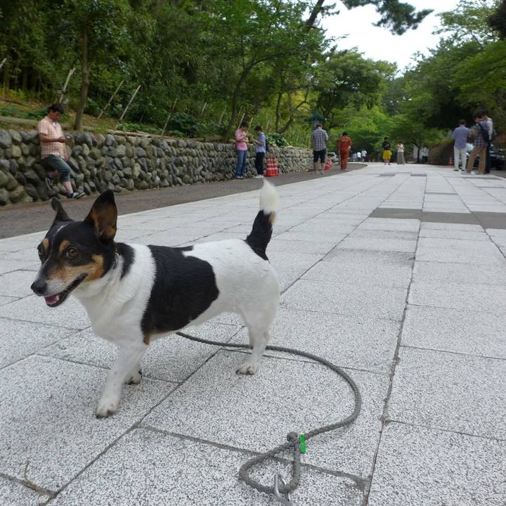 Eb0db90f 3810 4cc5 92cf ec2e8d4ba78f