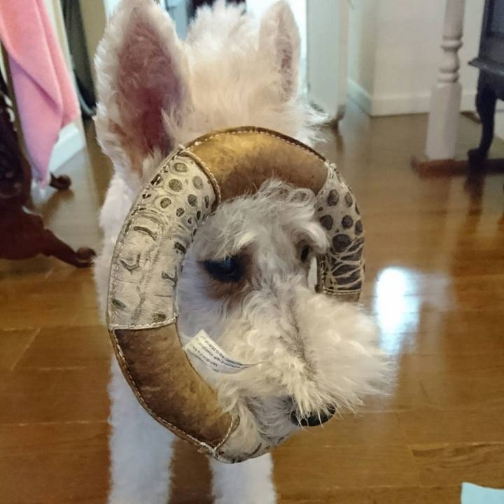 Eb0dbcb5 541a 4db2 9fe0 faeca0a54be7