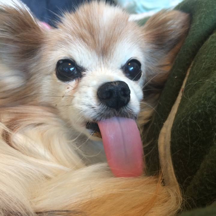 Eb0dcd47 f530 43ff 97b1 5d64bdca23cf