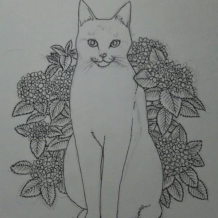 Eb0e26c7 f4ed 4929 b3ce 7b39739d3cec