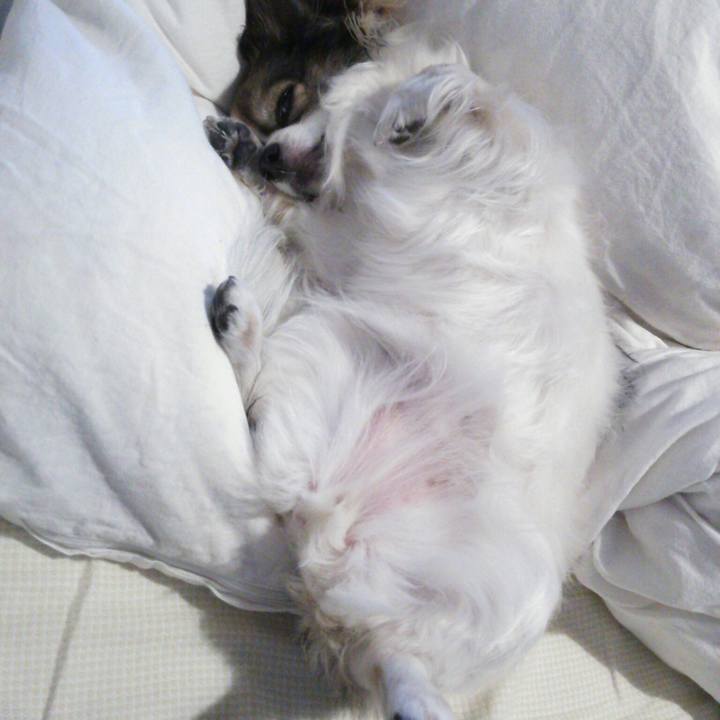 Eb0e35cf 4a4e 4d6b ab45 c7c6a2b120d7