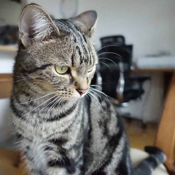 Eb0e6c96 cf03 4b0a ac43 e03bf7a7252a