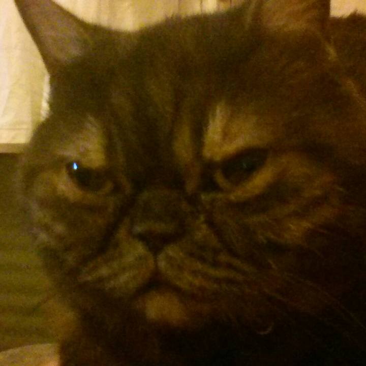 Eb0ea295 edef 4bf7 ad5a 0ae2bca68ecc