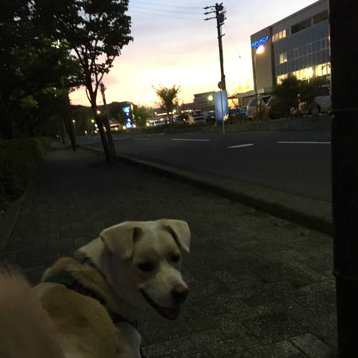 Eb0f8974 abec 45d2 9ff3 d01048f2c3a1