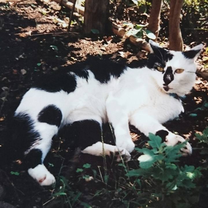 Eb0fe775 17a4 4d9a ae37 57dc63a2f988