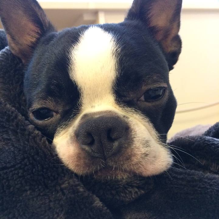 Eb105635 a9dd 4ef6 8749 e243ceec7587