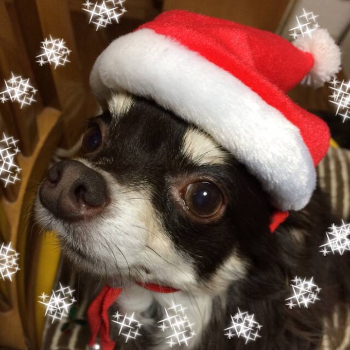 Eb1058c8 28f6 4909 89d9 0d78937fa77f