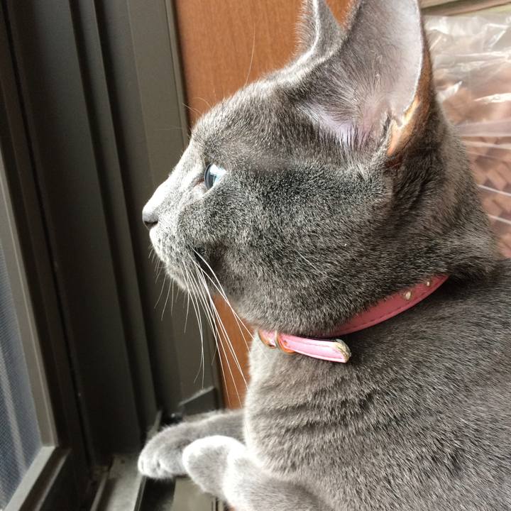 Eb106494 9e7e 4d3a ab0b cd0c6168f4f3