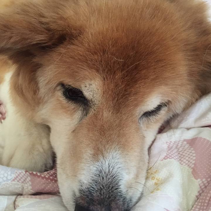 Eb108c0e 638e 4bc4 a758 d14184c656ca