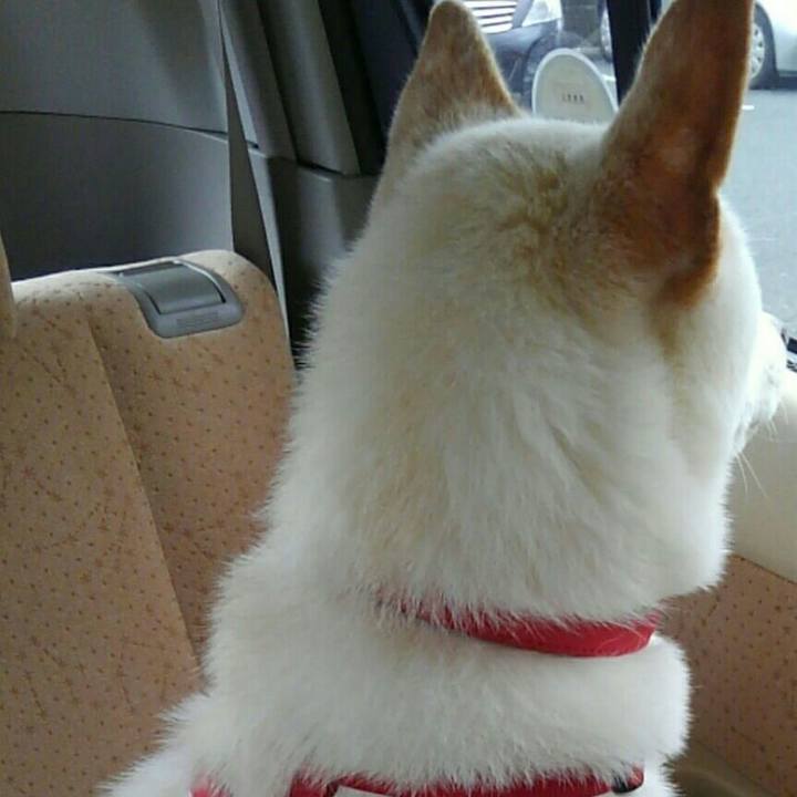 Eb10e023 0610 499e 8a30 82cdc3cbca48